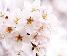 あなたの悩み、どんな些細なことでも相談にのります 不安を抱えてるそこのあなたを笑顔にします！
