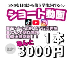 TikTok・short・リール動画等を編集します イメージ1