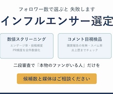 数値と目視でインフルエンサーを選定します イメージ1