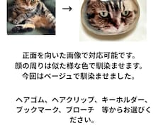 レジンでご希望の世界観を表現します レジン　帯留め　　アクセサリー　着物雑貨　ペットロス