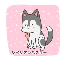 あなたのペットをおすわりさせます イメージ1