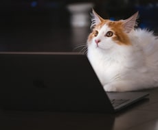 隙間時間にできる在宅ワーク（お小遣い稼ぎ）教えます 2023年版！自分に合った方法で副収入を得ましょう♪