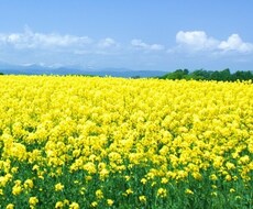 人生経験豊富な母が悩めるお母さんの相談受付ます イメージ1