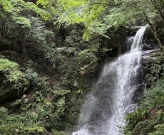 今後の運気、人間関係／お仕事／恋愛／結婚　占います イメージ1