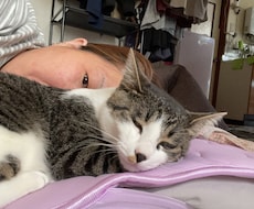 心のモヤモヤをお聞きしクライアントの傾聴しています イメージ1