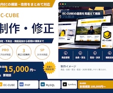 EC-CUBEを制作・修正します イメージ1