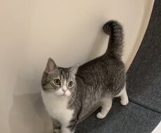 恋愛、仕事、人間関係等、どんなお話でもお聞きします 悩み、辛いこと、楽しいお話、なんでも話してください。