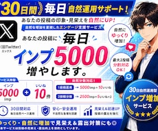 X30日間運用サポート！自然にインプ増加します イメージ1
