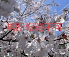 風景や自然などの写真素材を提供します イメージ1
