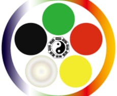 梅花心易で、未来の吉凶を占います 思い立った「今」だからこそ、答えがわかる！