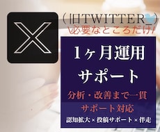 X認知拡大＋投稿｜1ヶ月運用改善まで伴走します 予算に合わせ運用サポート。認知拡大から投稿改善まで柔軟に対応