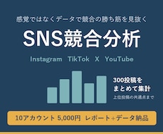 競合SNS10アカウントの投稿を定量分析します イメージ1