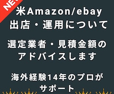 米Amazon/eBay販売運用をアドバイスします 14年の実績でFBA代行・運用業者選定、販売運用のアドバイス