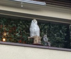 あなたの恋愛サポートします イメージ1