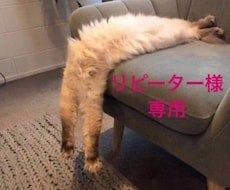 お疲れを癒します。リピーター様専用になます ヒーリングは従来通りです^_^