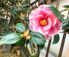 未来を見過ぎて不安になる方話聞きます イメージ1