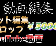 YouTube動画編集致します イメージ1