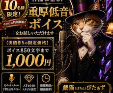 限定10名特別価格！格安でボイスお試しいただけます 【限定10名！実績公開価格】ボイス850文字まで1000円！