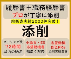 添削プラン　職務経歴書や応募文章をプロが添削します プロ品質の文章を作成/結果に直結　総販売実績2000件突破