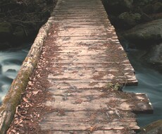 映像素材撮影してきます 素敵な映像素材お探しのあなたに