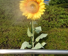 どんなお悩みでも親身に聞きます イメージ1