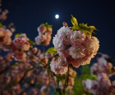 どんなご相談でも親身になってお乗りいたします イメージ1