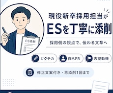 現役新卒採用担当がESを丁寧に添削します イメージ1