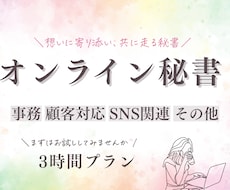 ちょこっと３時間お試し| 事務作業対応いたします 現役オンライン秘書！バックオフィスサポートします！