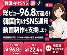 韓国向けSNS運用・動画制作を支援します イメージ1