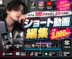 TikTokやリールのショート動画を編集します イメージ1