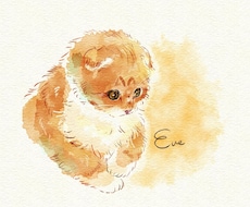 あなたの大切な家族のイラストを描きます イメージ1