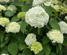 心の内を全てお聴きし癒しを提供します イメージ1