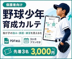 野球少年育成カルテをPDFで作成します 強み・課題・親の声かけ・3か月練習プランを見える化