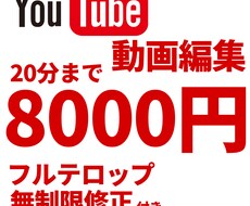 YouTubeのプロが動画制作を代行いたします イメージ1