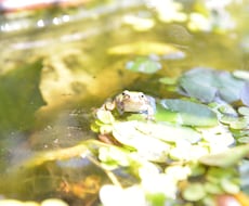 心療内科に通っている方の悩み、気持ちをききます イメージ1