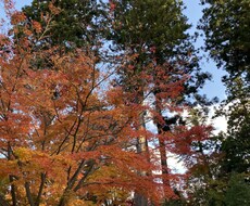 一緒に話しませんか？待ってます イメージ1
