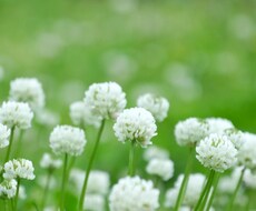 人生の棚卸しであなたの強みを見つけます イメージ1