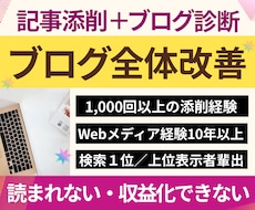 記事添削＋ブログ診断⭐︎まとめて全体改善します 「文章×アフィリエイト×SEO×収益化」記事添削＋ブログ診断