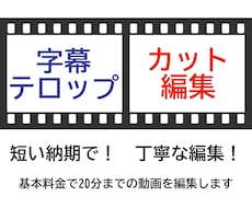 動画のカット編集・字幕テロップ入れします Youtubeでも個人的利用でもOK！安く早く仕上げます！