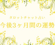 今後3ヶ月間の運勢を占います イメージ1