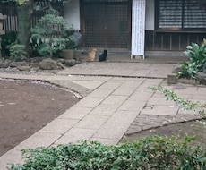相手の方の気持ちをお写真から霊視いたします イメージ1