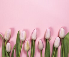 ワンコイン？！でWebページ更新します イメージ1