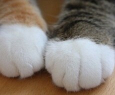 話聞きます イメージ1