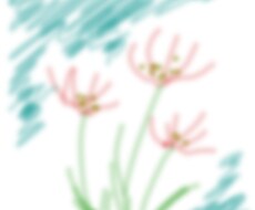 ご希望のお花のがありましたら描きます イメージ1