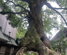愚痴、悩み、恋愛話ききます イメージ1