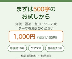 看護師が500字の短い記事を書きます はじめての方向け｜看護16年×ケアマネ×登山×愛犬