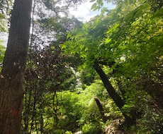 あなたのお悩みを傾聴します イメージ1
