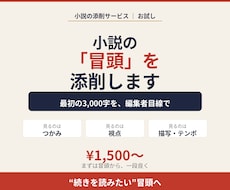 小説の冒頭（最初の3,000字）を添削します イメージ1