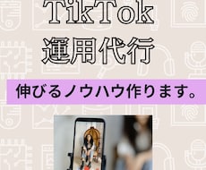TikTokの運用を代行します イメージ1