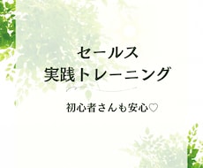 ひとり起業家むけ★セールスの練習相手になります 失敗大歓迎！60分あなたの課題に合わせてマンツーマンレッスン